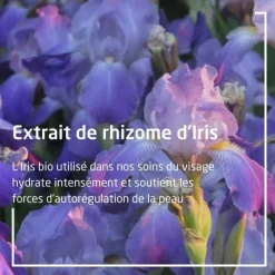 Weleda Iris crème de jour hydratante Bio