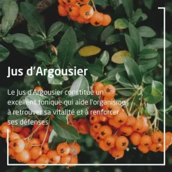 Weleda jus d'Argousier Bio