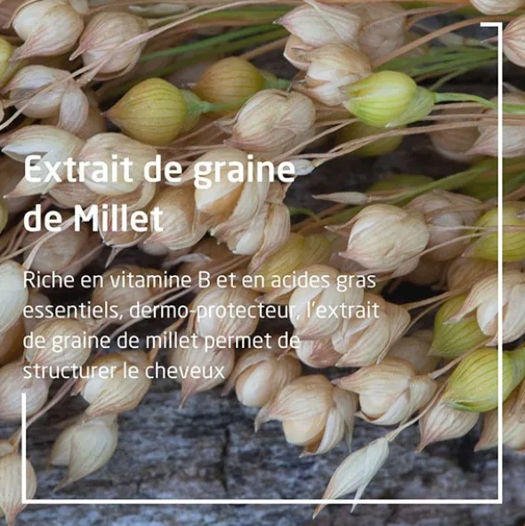 Weleda Millet shampooing extra doux bio