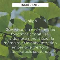 Weleda Mémoire et Concentration Gingko Bio