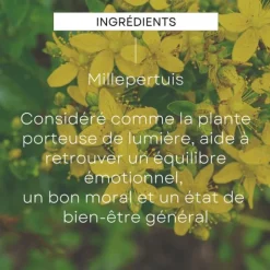 Weleda Moral extrait Millepertuis Bio