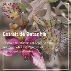 Weleda pâte dentifrice au Ratanhia