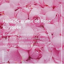 Weleda Rose Musquée & thé blanc contour des yeux lissant Bio