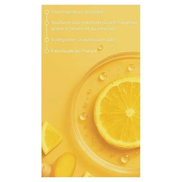 Weleda Tisane allaitement bio sachets