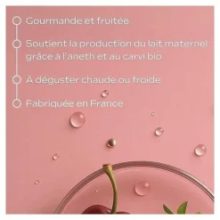 Weleda Tisane allaitement bio sachets