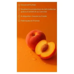 Weleda Tisane allaitement bio sachets