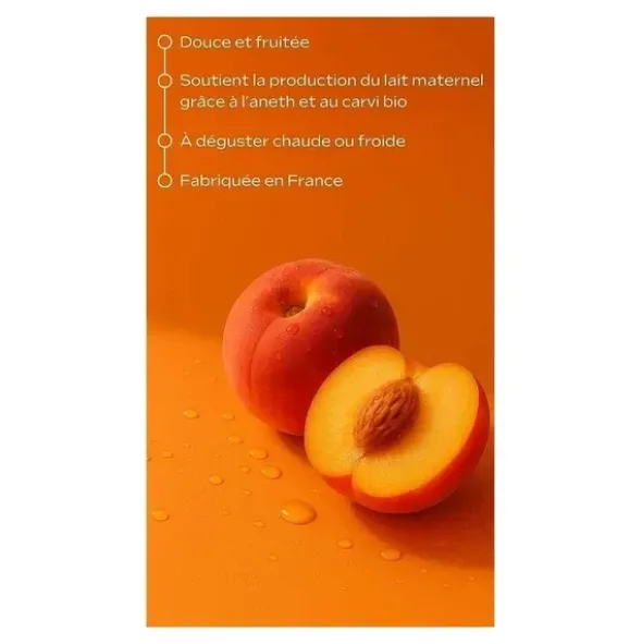 Weleda Tisane allaitement bio sachets