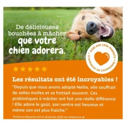 Zesty Paws Digestion Friandises pour chien