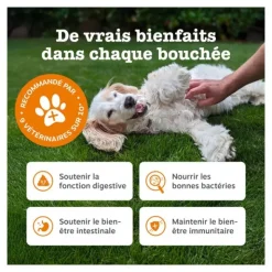 Zesty Paws Digestion Friandises pour chien