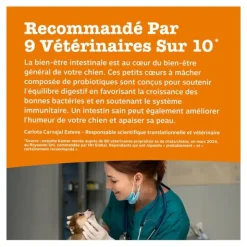 Zesty Paws Digestion Friandises pour chien
