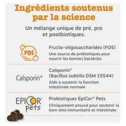Zesty Paws Digestion Friandises pour chien