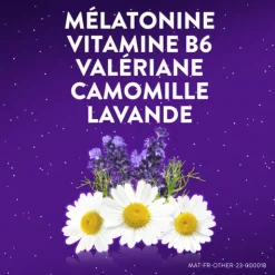 ZzzQuil Sommeil Fruits des bois gummies